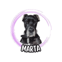 Marta Danese Sticker by Asilo per cani Dog'sMind