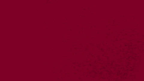 I Am The Law Probation GIF by Smoke & Bacon Media LLC