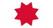 Christmas Star Sticker by HWR Berlin