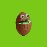 Sad Coco GIF