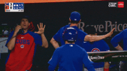 Chicago Cubs Baseball GIF
