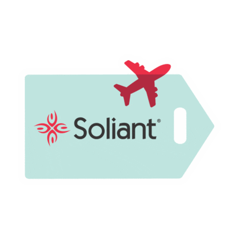 First Class Travel Sticker by Soliant