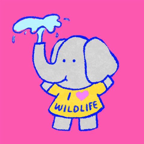 Wildlife Conservation