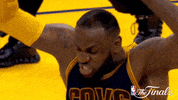 lebron james GIF by NBA
