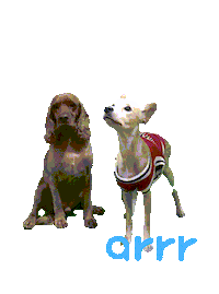 아르르 Sticker by arrr_official