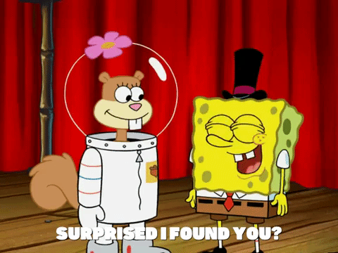season 5 GIF by SpongeBob SquarePants
