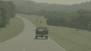 Driving Road Trip GIF by Jon Langston