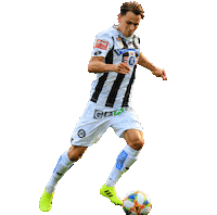 Sturm Graz Football Sticker by SK Sturm