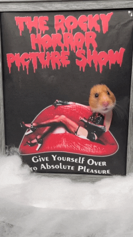 aliforeman6dbe giphygifmaker GIF