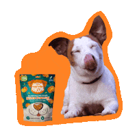 AwesomePawsomeTreats happy funny cute dog Sticker
