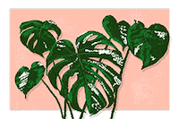 plant kg Sticker by Kamp Grizzly