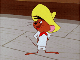 Happy Warner Bros GIF by Looney Tunes