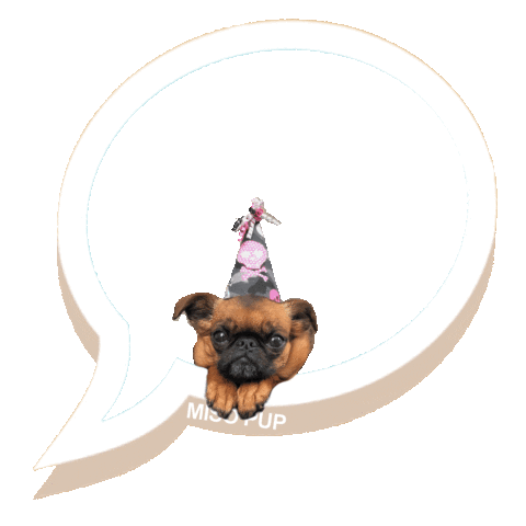 happy birthday dog Sticker by MISO PUP