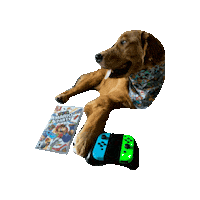 Mario Party Sticker by Geekster Pets