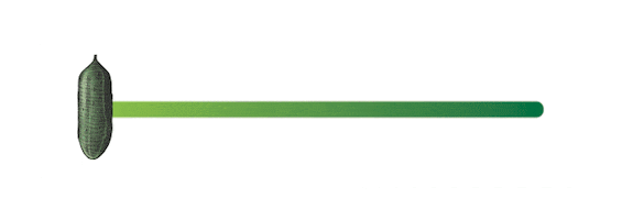 Drinks Serve Sticker by HENDRICK'S GIN