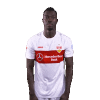 Arms Crossed Arme Verschränken Sticker by VfB Stuttgart