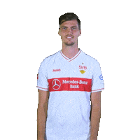 Stenzel Sticker by VfB Stuttgart