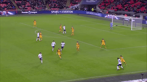 london football GIF by Tottenham Hotspur