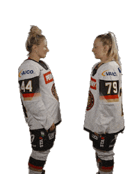 Ice Hockey Sticker by deb_teams