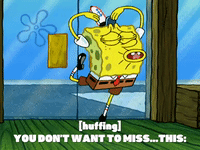 season 6 gullible pants GIF by SpongeBob SquarePants