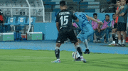 Fc Goa GIF by Indian Super League