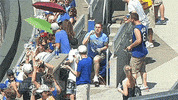 kansas city royals baseball GIF by MLB