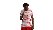 Hey You Hello Sticker by RB Leipzig
