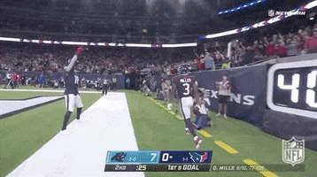 Houston Texans Football GIF by NFL