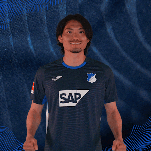 Sport Bundesliga GIF by TSG Hoffenheim