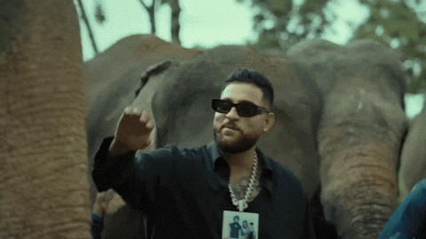 Music Video India GIF by Karan Aujla