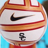 Fighton GIF by USC Trojans