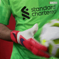 Premier League Reaction GIF by Liverpool FC