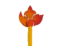 happyborders fire text flower mess Sticker