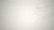 GIF by NGH - NEXT GENERATION HYALURONICS