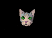 EguzkiZeid  GIF