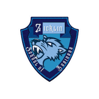 baruch_admission cuny bearcat baruch baruch college Sticker
