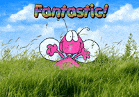 Compliments GIF