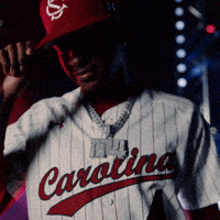 South Carolina Celebration GIF by Gamecock Athletics
