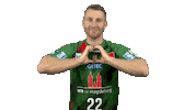 Handball-Bundesliga Heart Sticker by LIQUI MOLY HBL