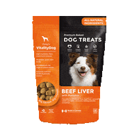 Dogs Puppy Sticker by Foley Dog Treat Company