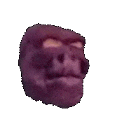 Stop Motion Wtf Sticker