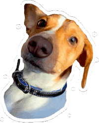 Dog Love Sticker