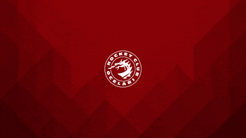 Time Out GIF by HC Oceláři Třinec