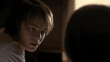 strangerthings season 1 stranger things brother advice GIF