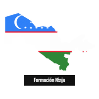 Flag Bandera Sticker by Formación Ninja