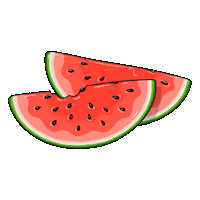 Fun Summer Sticker by Studio Neuhaus