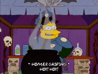 homer simpson GIF