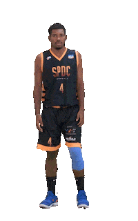 SPDC cbb wilson basquete basquetebol Sticker