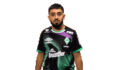 Esports Fifa Sticker by SV Werder Bremen