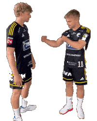 Bsh Svane Sticker by Bjerringbro-Silkeborg Håndbold